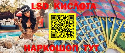 гашик Новодвинск