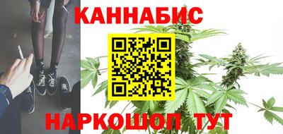 гашик Новодвинск