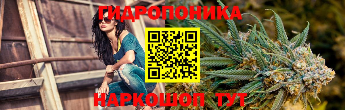 МАРИХУАНА Amnesia Удомля